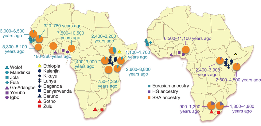 Dating and proportion of Eurasian and HG admixture among African populations. The proportion and distribution of Eurasian and HG admixture among different populations across Africa, with approximate dating of admixture using MALDER (code was provided by J. Pickrell)