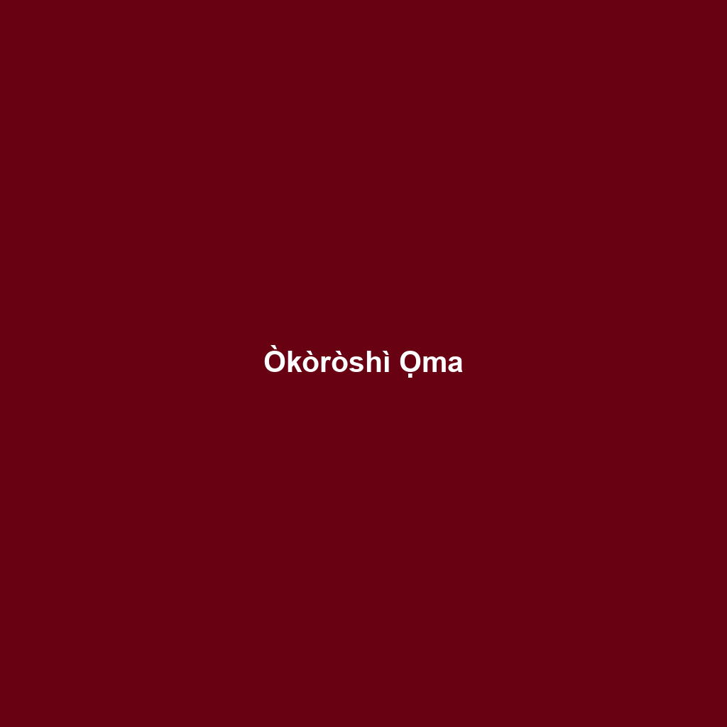 Òkòròshì Ọma
