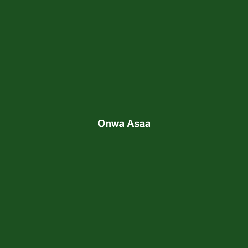 Onwa Asaa