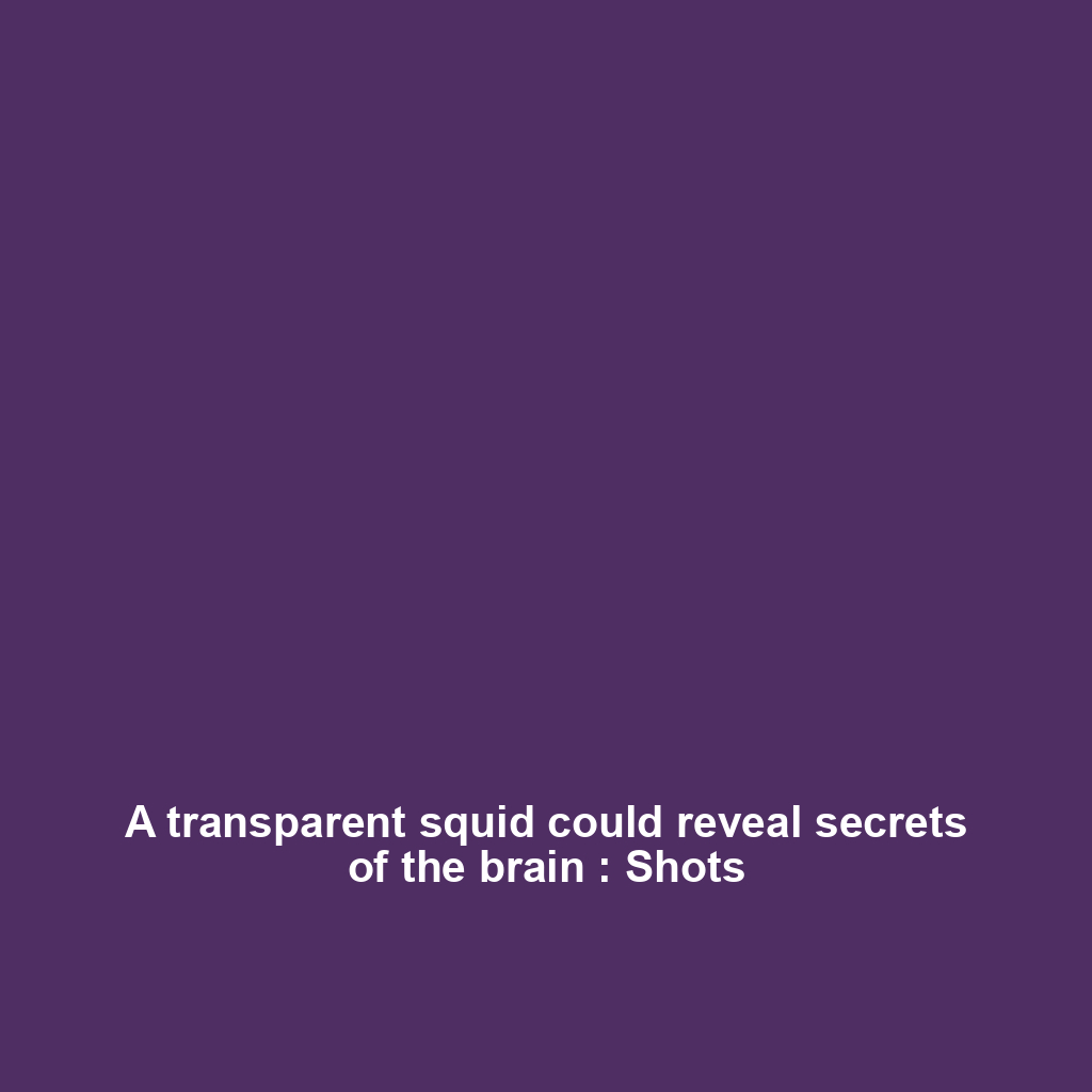 A transparent squid could reveal secrets of the brain : Shots