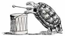 Tortoise and the Magical Drum