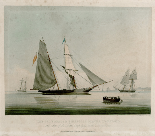 The Celebrated Piratical Slaver L’ Antonio with others of the Black Craft lying in the Bonny River