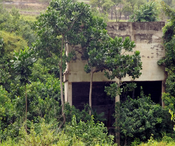 Iva Valley Massacre. thenationonlineng.