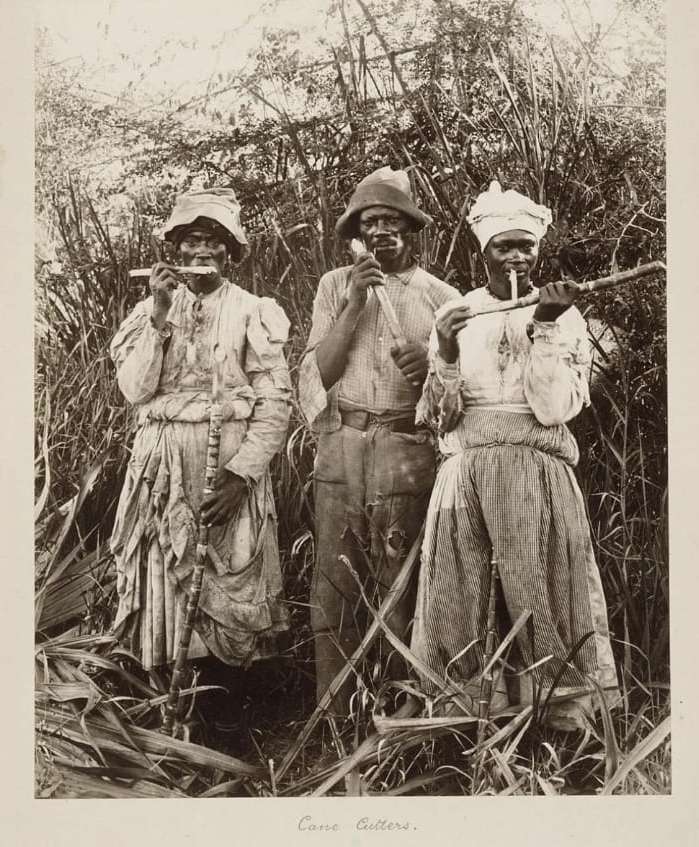Cane Cutters in Jamaica. Photo: National Maritime Museum