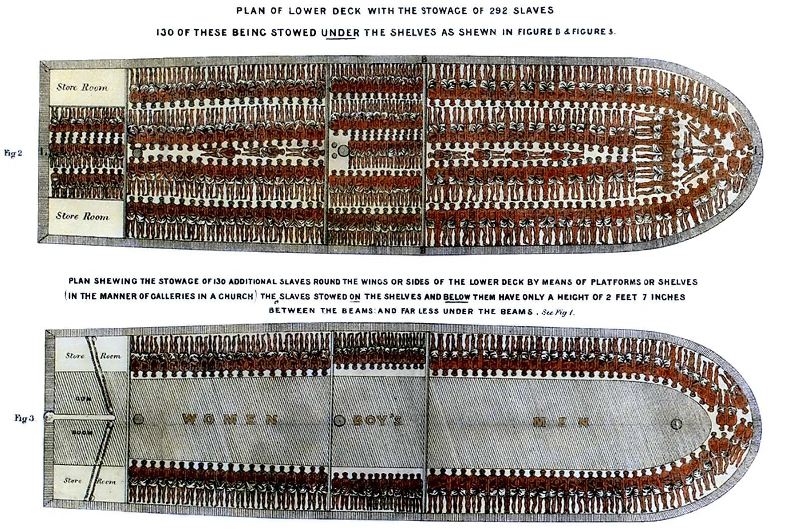A drawing from about 1790 of the slave ship Brooks shows how more than 420 adults and children could be crammed aboard. © Everett Historical/Shutterstock
