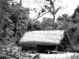 An Igbo Ancestral Hall
