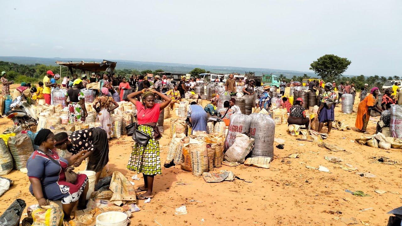 Nkwọ Umunze In Anambra, the Biggest Palm Produce Market In South East, Nigeria