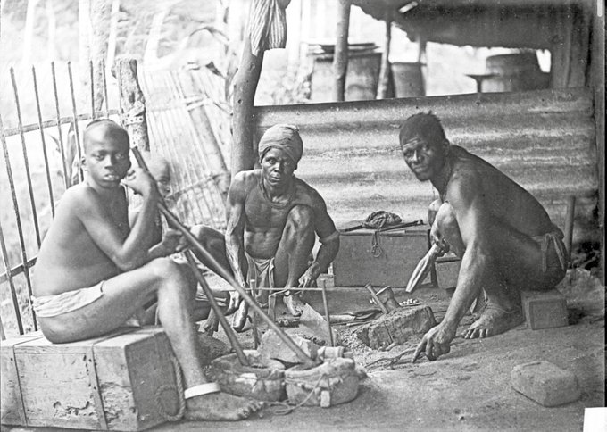 photographed by William Henry Crosse,