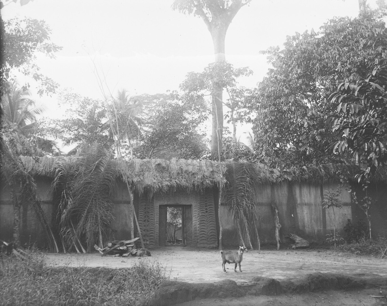 Black-and-white photo of traditional Igbo compound gate and thatched roofs