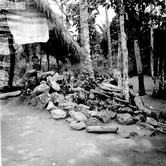 Overgrown Igbo shrine symbolizing the fading of totemism.