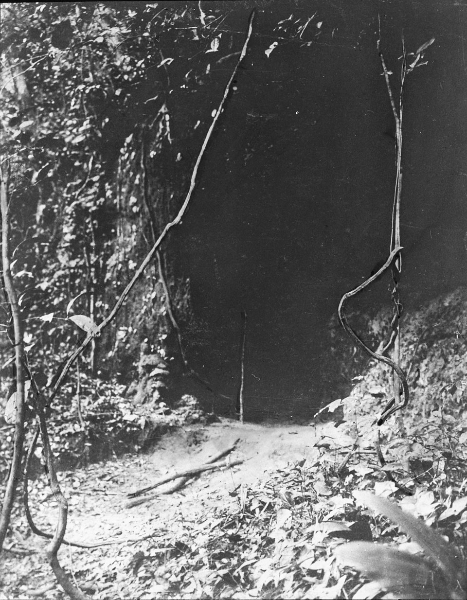 Photo of the Long Juju gorge entrance in Arochukwu, Nigeria.