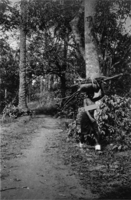 Igbo woman with ivory anklets returning from farm work, symbolising status and cultural elegance. Photographed by Gustaf Bolinder, 1930–31.