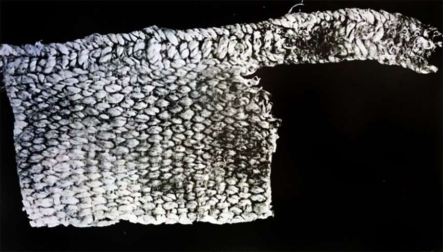 IMG-20260318-WA0019-865x493