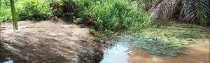 Mmiri nwataoma photo ctredit : youtube