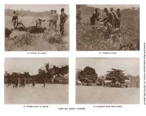 Igbo Burial, Journal of The Anthropological Institute Of Great Britain And Ireland Vol.47 1917